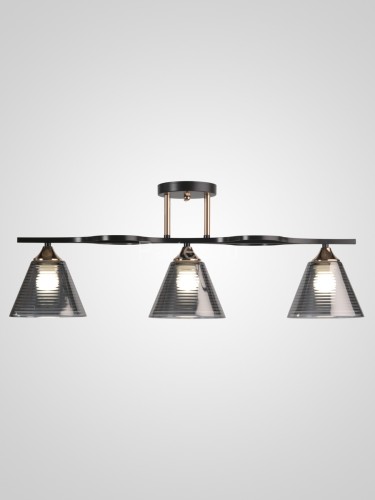 Потолочная люстра Мелодия Света 000066026