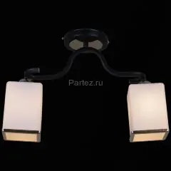 Потолочная люстра Reluce 32303-0.3-02