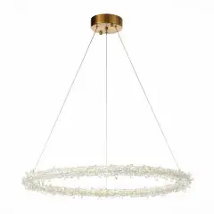 Подвесная люстра ST Luce SL6105.213.01