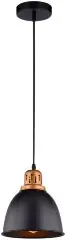 Подвесной светильник Arte Lamp A4245SP-1BK