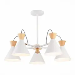 Потолочная люстра Evoluce SLE125102-05