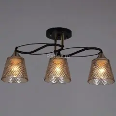 Потолочная люстра Reluce 06087-0.3-03 BK+FG