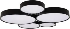Потолочный светильник Loft It 10218 Black