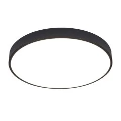 Потолочный светильник Arte Lamp A2672PL-1BK