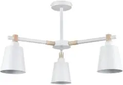 Потолочная люстра Lumion 8097/3C