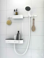 Крючок Hansgrohe WallStoris, Черный матовый (27914670)