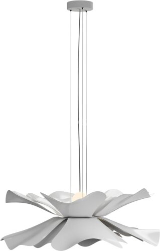 Подвесная люстра Lightera LE116L-60W