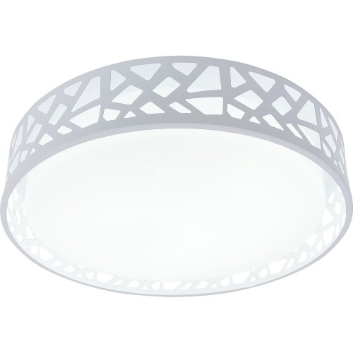 Потолочный светильник TopLight TL1205X-72WH