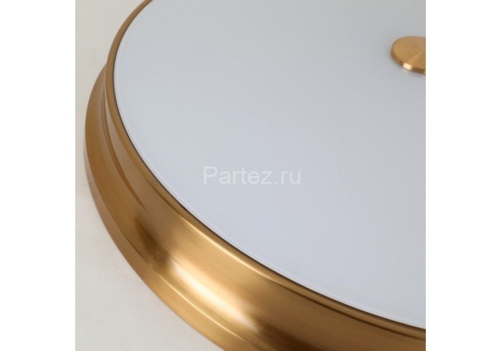 Потолочный светильник Favourite 2375-5C