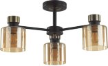 Потолочная люстра Lumion 5643/3C