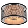 Потолочный светильник Lussole Loft LSP-9676