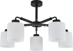 Потолочная люстра Escada 2133/5P