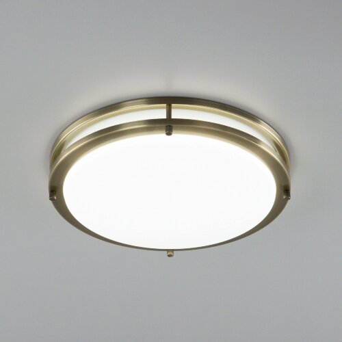 Настенно-потолочный светильник Citilux CL709323N