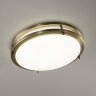 Настенно-потолочный светильник Citilux CL709323N