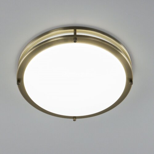 Настенно-потолочный светильник Citilux CL709323N