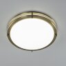 Настенно-потолочный светильник Citilux CL709323N
