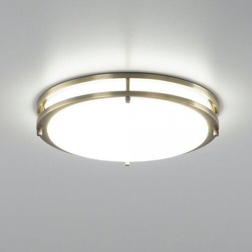 Настенно-потолочный светильник Citilux CL709323N