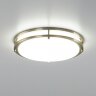 Настенно-потолочный светильник Citilux CL709323N