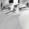 Потолочная люстра MW-Light 324017704