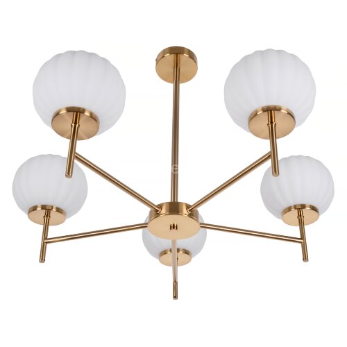 Потолочная люстра MyFar MR1901-5C