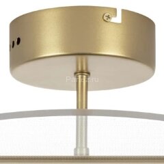 Потолочная люстра Lightstar 738033