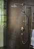 27654000 Raindance Select S Shower set 120 3jet P with shower bar 65 cm, powder rain