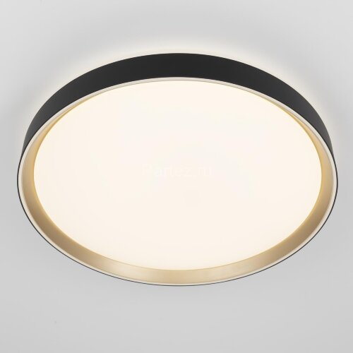 Потолочный светильник Citilux CL751451G