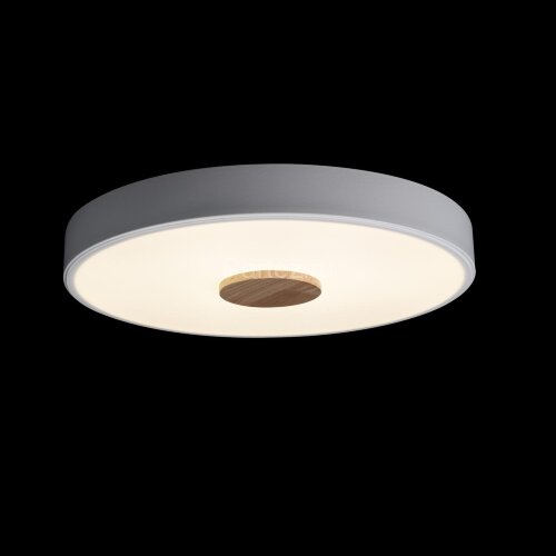Потолочный светильник Loft It 10003/24 White