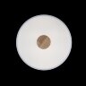 Потолочный светильник Loft It 10003/24 White