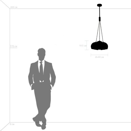Подвесная люстра Lightstar 729031