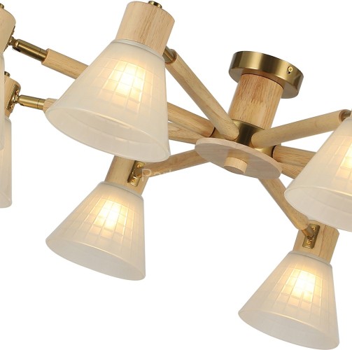 Потолочная люстра Arte Lamp A4096PL-8BR