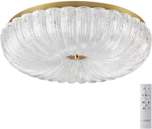 Потолочный светильник Sonex 7719/60L