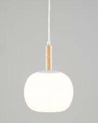 Подвесной светильник Moderli V10290-PL