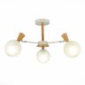 Потолочная люстра Evoluce SLE220702-03