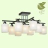 Потолочная люстра Lussole Loft GRLSL-9007-09