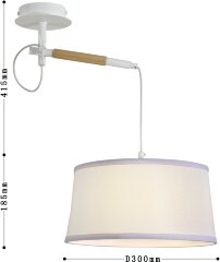 Настенно-потолочный светильник F-Promo 3005-1P