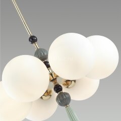 Потолочная люстра Odeon Light 5405/6