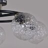Потолочная люстра ILLUMICO IL0296-5CSQ-79 BK AB
