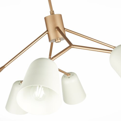 Потолочная люстра Evoluce SLE155902-08