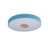 Потолочный светильник Loft It 10003/24 Blue