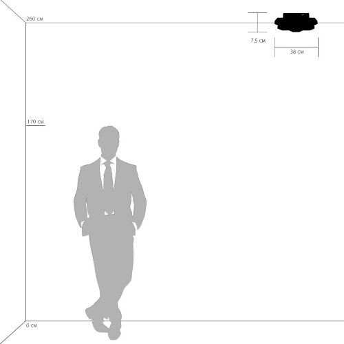 Потолочный светильник Lightstar 750074