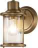 Бра Quoizel QZ-RIGGS1-BATH-WS