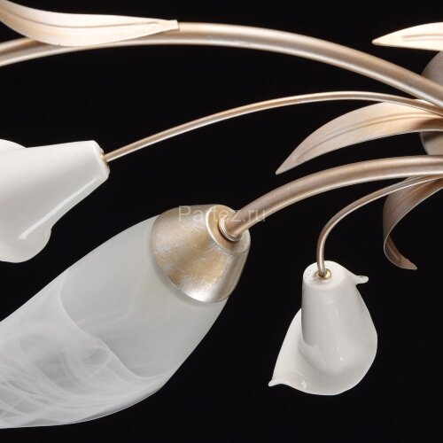 Потолочная люстра MW-Light 242016306