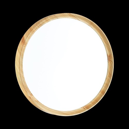 Настенно-потолочный светильник Sonex 3019/EL