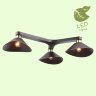Потолочная люстра Lussole Loft GRLSP-9534