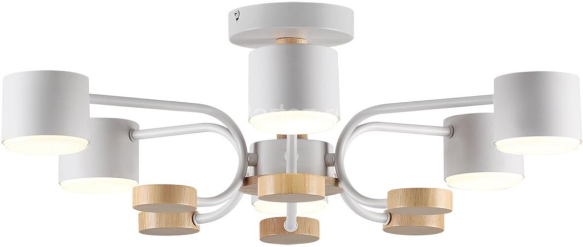 Потолочная люстра Lumion 8231/6C