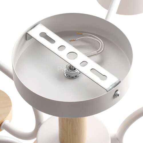 Потолочная люстра Lumion 8231/6C