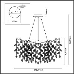 Подвесная люстра Odeon Light 4970/10