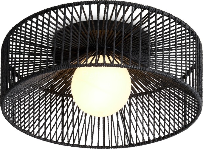 Потолочный светильник Freya FR5405CL-01B