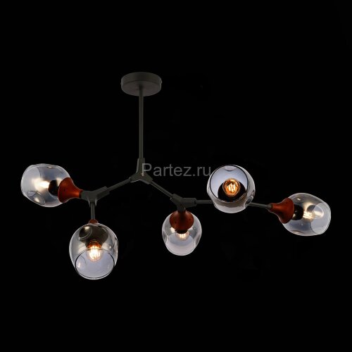 Потолочная люстра Evoluce SLE113402-05